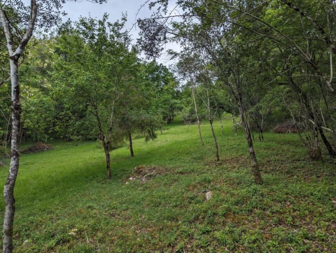 Photos 19 - Agricole - Ferme