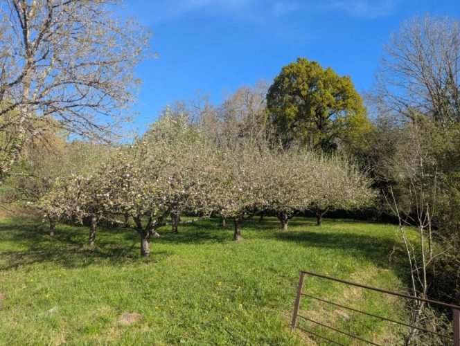 Photos 16 - Rurale - Maison