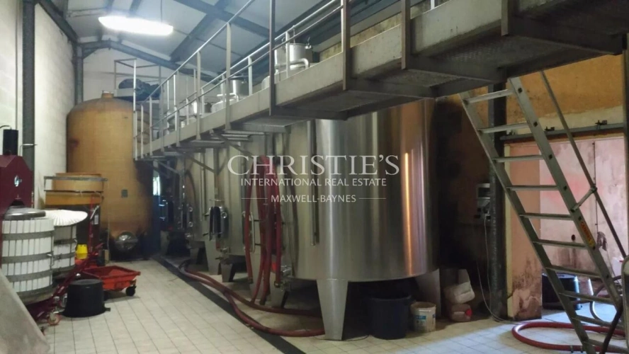 Photos 8 - Touristique - Propriété viticole dans un bel environnement avec Gîte