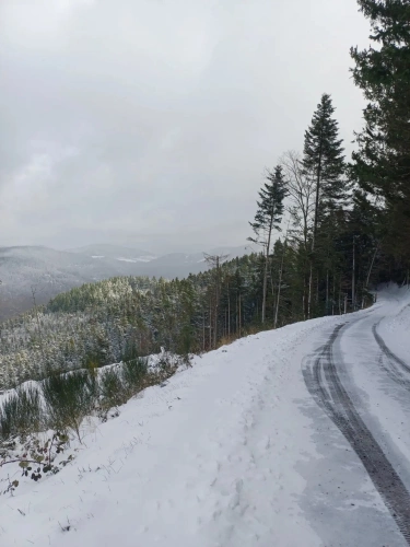 Photos 3 - Forestière - Lot de parcelles forestières au Nord de l’Ardèche