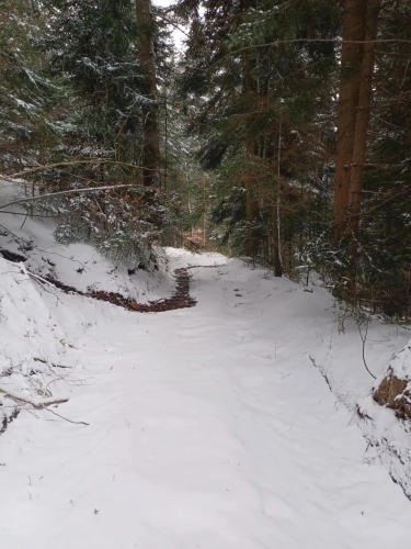 Photos 4 - Forestière - Lot de parcelles forestières au Nord de l’Ardèche