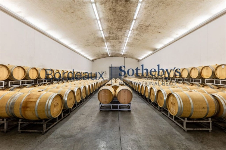 Photos 10 - Prestige - BELLE PROPRIÉTÉ VITICOLE EN SATELLITE DE SAINT ÉMILION - 34 HA EN BIO