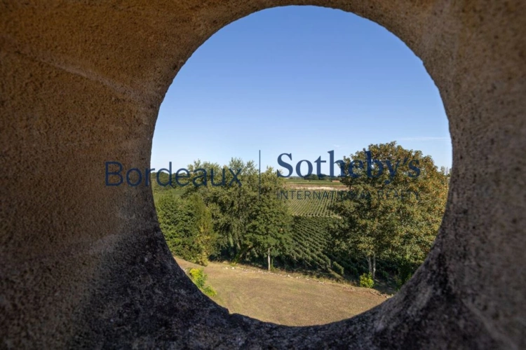 Photos 12 - Prestige - BELLE PROPRIÉTÉ VITICOLE EN SATELLITE DE SAINT ÉMILION - 34 HA EN BIO