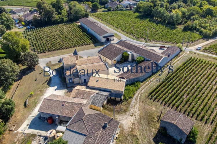 Photos 13 - Prestige - BELLE PROPRIÉTÉ VITICOLE EN SATELLITE DE SAINT ÉMILION - 34 HA EN BIO