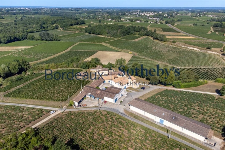 Photos 14 - Prestige - BELLE PROPRIÉTÉ VITICOLE EN SATELLITE DE SAINT ÉMILION - 34 HA EN BIO