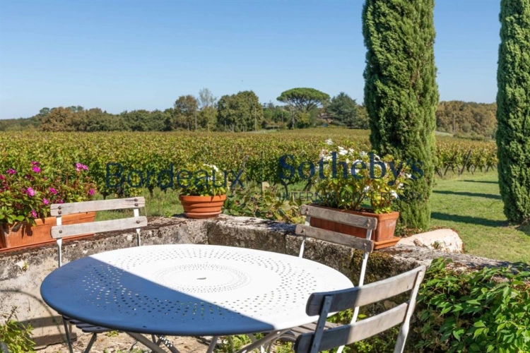 Photos 11 - Viticole - EXCLUSIVITÉ - SUPERBE CHÂTEAU À 30 MIN DE BORDEAUX - 10 HA