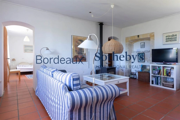 Photos 14 - Viticole - EXCLUSIVITÉ - SUPERBE CHÂTEAU À 30 MIN DE BORDEAUX - 10 HA