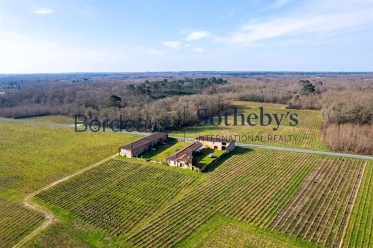 Photos 3 - Viticole - RIVE GAUCHE 35 MIN DE BORDEAUX - BELLE UNITÉ DE PRODUCTION DE VINS DE GRAVES DE QUALITÉ