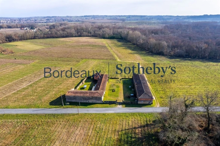 Photos 6 - Viticole - RIVE GAUCHE 35 MIN DE BORDEAUX - BELLE UNITÉ DE PRODUCTION DE VINS DE GRAVES DE QUALITÉ