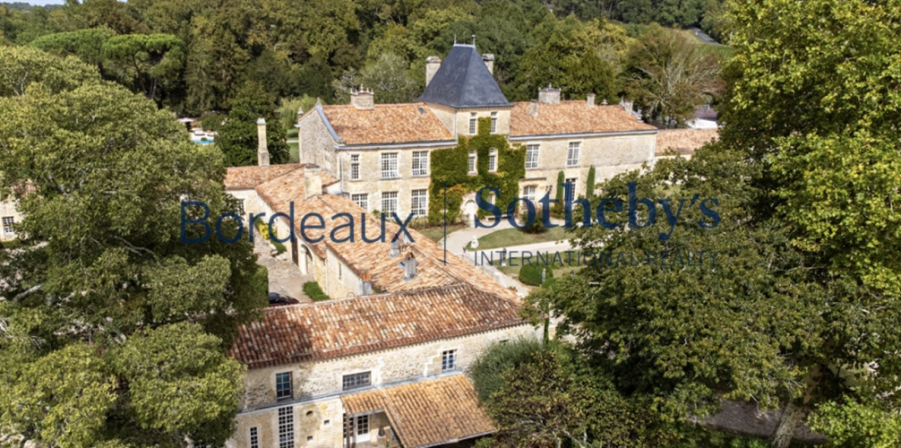 Photos 2 - Viticole - MAGNIFIQUE CHÂTEAU HÔTEL HISTORIQUE ET VIGNOBLE TRÈS PROCHE DE BORDEAUX