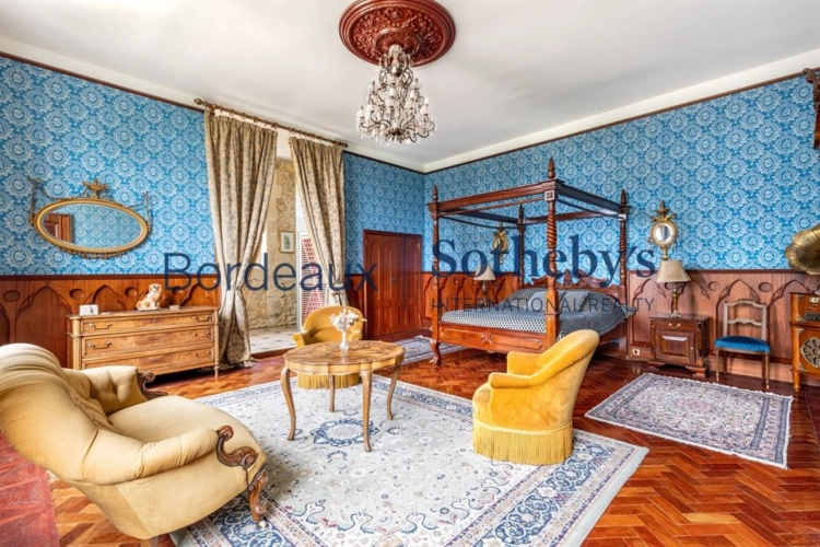 Photos 11 - Viticole - MAGNIFIQUE CHÂTEAU HÔTEL HISTORIQUE ET VIGNOBLE TRÈS PROCHE DE BORDEAUX