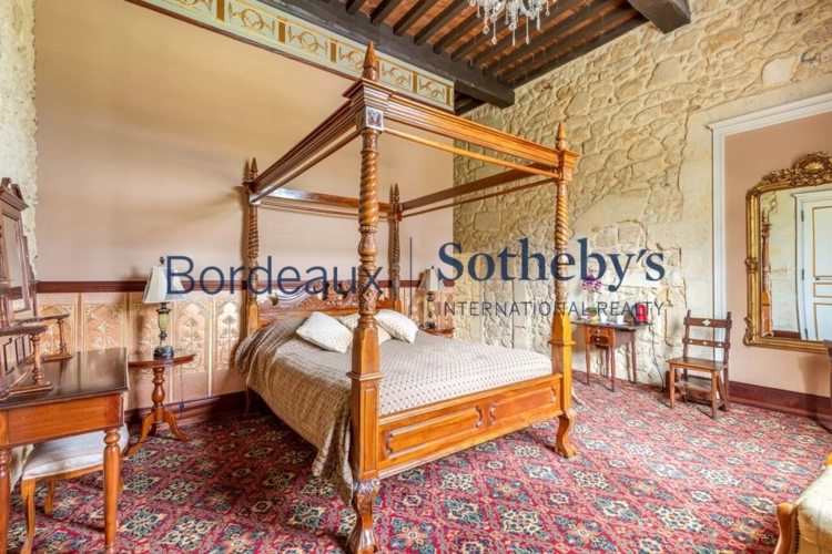 Photos 12 - Viticole - MAGNIFIQUE CHÂTEAU HÔTEL HISTORIQUE ET VIGNOBLE TRÈS PROCHE DE BORDEAUX