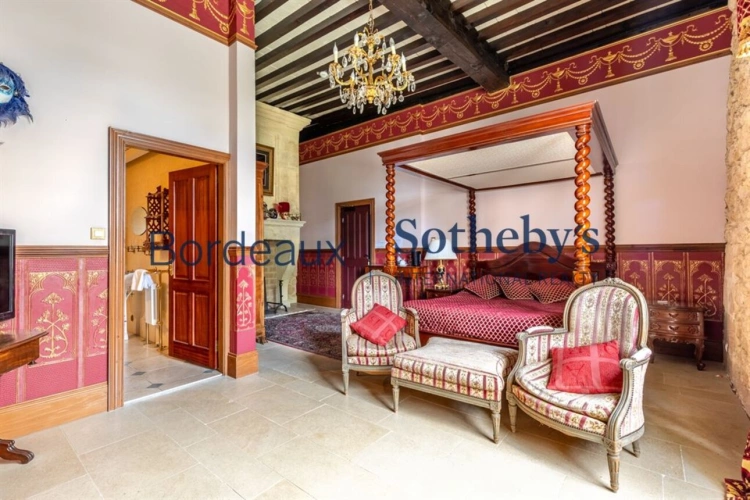 Photos 14 - Viticole - MAGNIFIQUE CHÂTEAU HÔTEL HISTORIQUE ET VIGNOBLE TRÈS PROCHE DE BORDEAUX