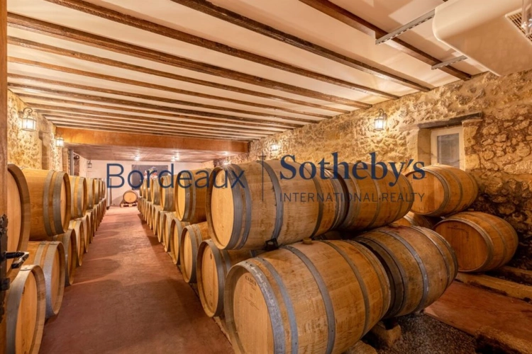 Photos 17 - Viticole - MAGNIFIQUE CHÂTEAU HÔTEL HISTORIQUE ET VIGNOBLE TRÈS PROCHE DE BORDEAUX