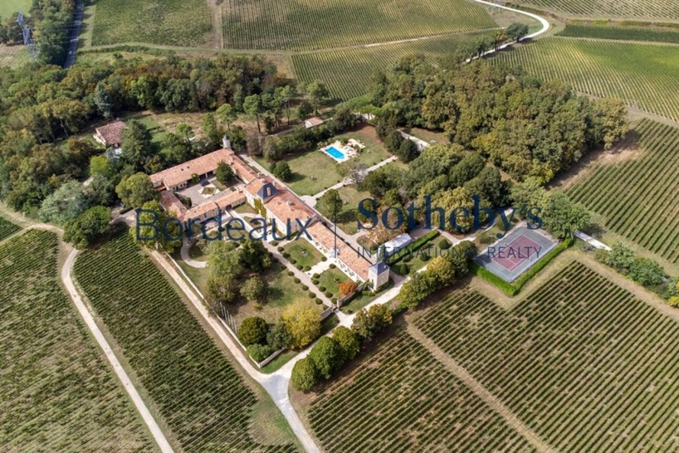 Photos 20 - Viticole - MAGNIFIQUE CHÂTEAU HÔTEL HISTORIQUE ET VIGNOBLE TRÈS PROCHE DE BORDEAUX