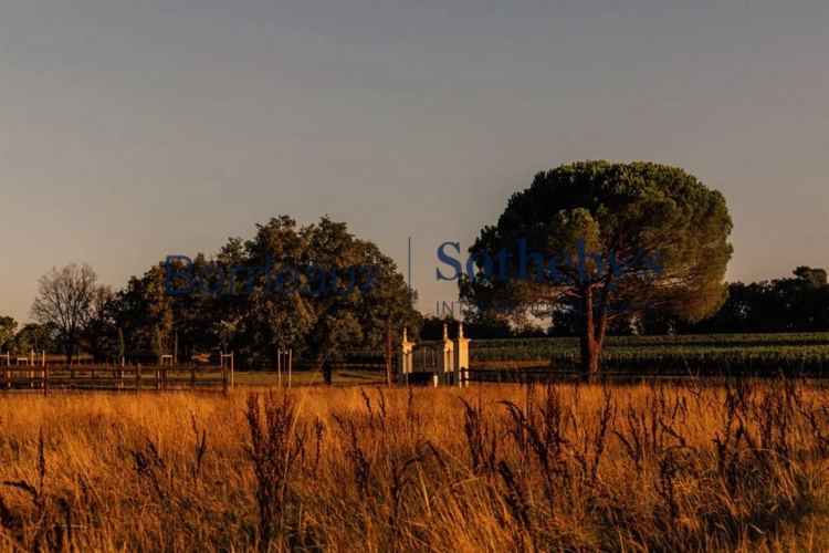 Photos 13 - Prestige - CHÂTEAU XVIII° - PISCINE - SPA - DÉPENDANCES - DOMAINE ÉQUESTRE