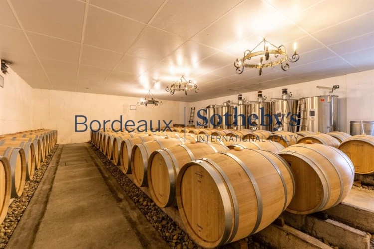 Photos 8 - Viticole - VIGNOBLE DE 2,7 HA AU COEUR DE LA PRESTIGIEUSE APPELLATION DE POMEROL