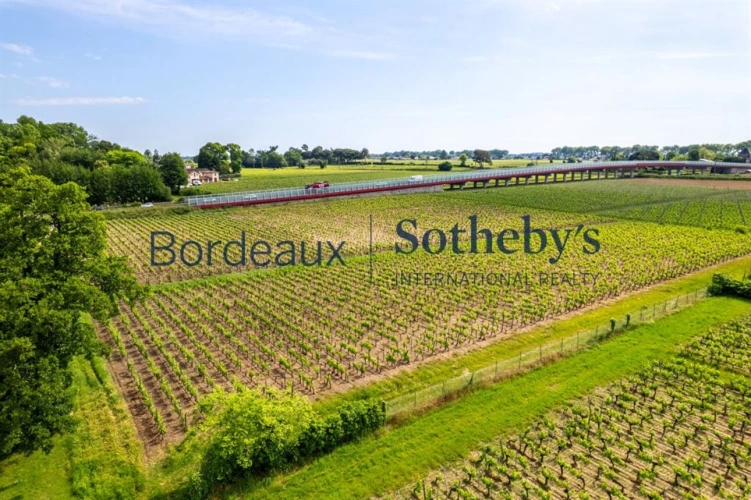 Photos 11 - Viticole - VIGNOBLE DE 2,7 HA AU COEUR DE LA PRESTIGIEUSE APPELLATION DE POMEROL