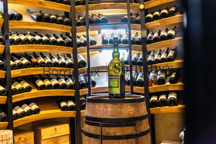 Photos 13 - Prestigious - EXCEPTIONAL PROPERTY ON THE OUTSKIRTS OF BORDEAUX...