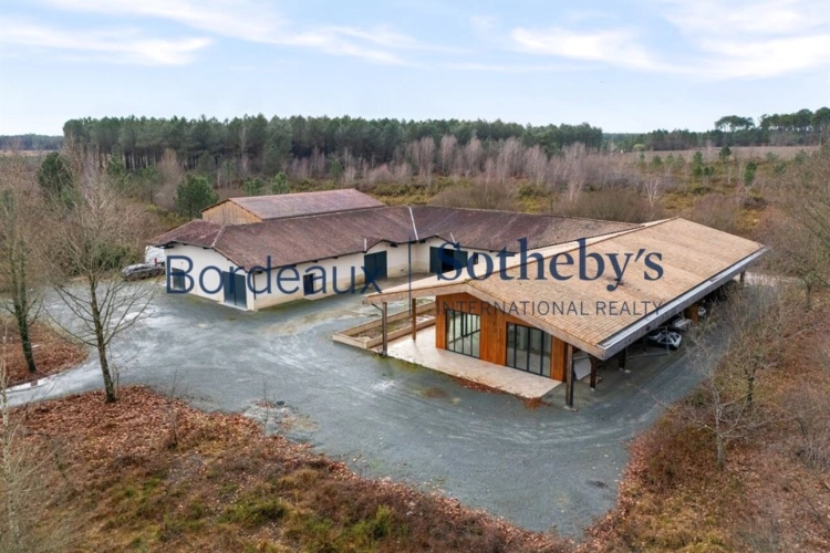 Photos 1 - Viticole - VIGNOBLE D'EXCEPTION EN PESSAC LEOGNAN - 14 HA