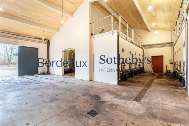 Photos 2 - Viticole - VIGNOBLE D'EXCEPTION EN PESSAC LEOGNAN - 14 HA