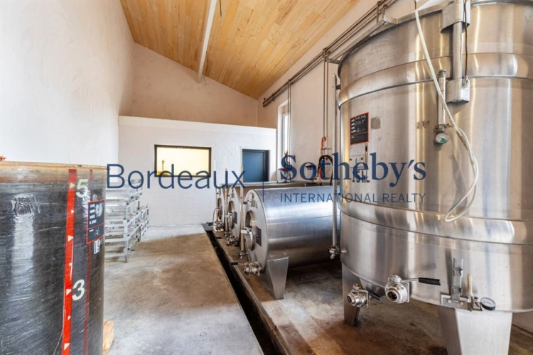 Photos 3 - Viticole - VIGNOBLE D'EXCEPTION EN PESSAC LEOGNAN - 14 HA