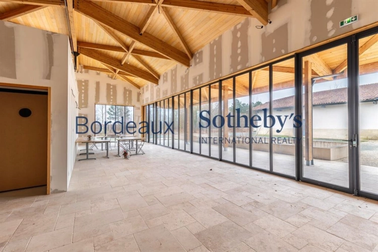 Photos 5 - Viticole - VIGNOBLE D'EXCEPTION EN PESSAC LEOGNAN - 14 HA