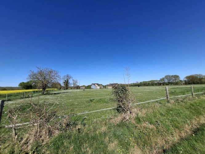 Photos 3 - Équestre - Maison avec installations équestres - 6,42 hectares - Maine