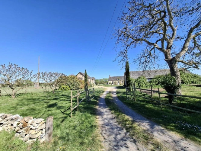 Photos 4 - Équestre - Maison avec installations équestres - 6,42 hectares - Maine