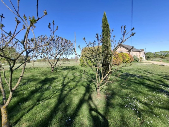 Photos 5 - Équestre - Maison avec installations équestres - 6,42 hectares - Maine