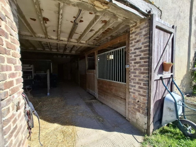 Photos 13 - Équestre - Maison avec installations équestres - 6,42 hectares - Maine