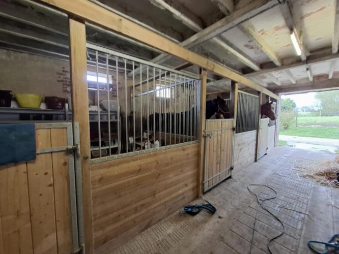 Photos 14 - Équestre - Maison avec installations équestres - 6,42 hectares - Maine