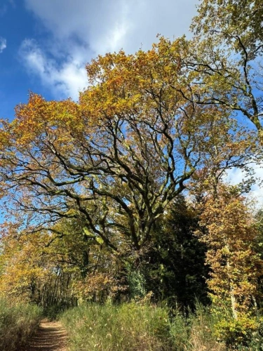 Photos 4 - Équestre - Domaine Equestre centré sur le Bien Etre équin et l'Agroéco