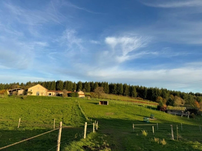 Photos 7 - Équestre - Domaine Equestre centré sur le Bien Etre équin et l'Agroéco