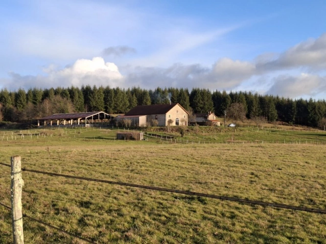 Photos 8 - Équestre - Domaine Equestre centré sur le Bien Etre équin et l'Agroéco