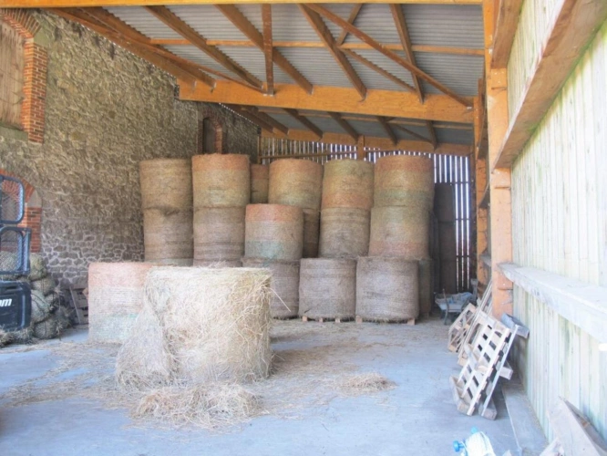 Photos 13 - Équestre - Domaine Equestre centré sur le Bien Etre équin et l'Agroéco