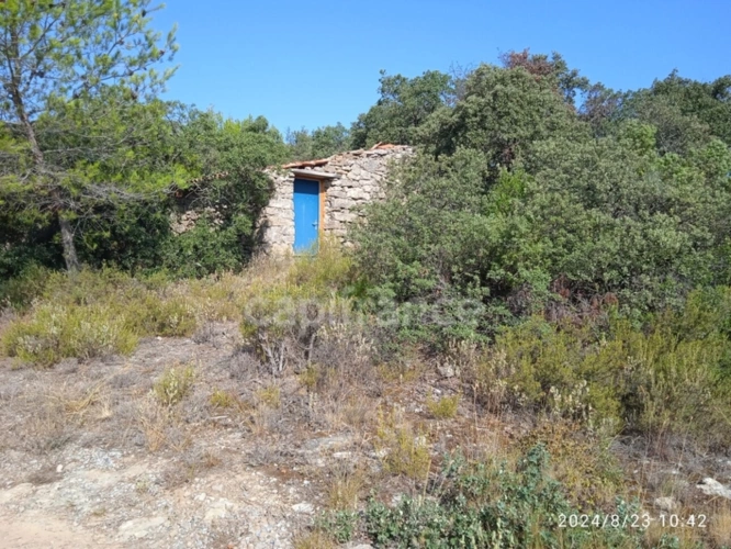 Photos 1 - Agricole - POUR LES AMOUREUX DE LA NATURE,TERRAIN AGRICOLE D'ENVIRON 3HA