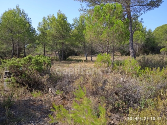 Photos 2 - Agricole - POUR LES AMOUREUX DE LA NATURE,TERRAIN AGRICOLE D'ENVIRON 3HA