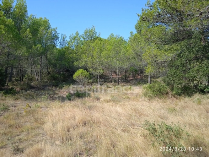 Photos 4 - Agricole - POUR LES AMOUREUX DE LA NATURE,TERRAIN AGRICOLE D'ENVIRON 3HA