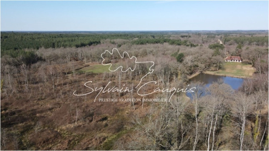Photos 2 - Forestière - Propriété de Chasse ou d'Agrément de 60 hectares en Sologne