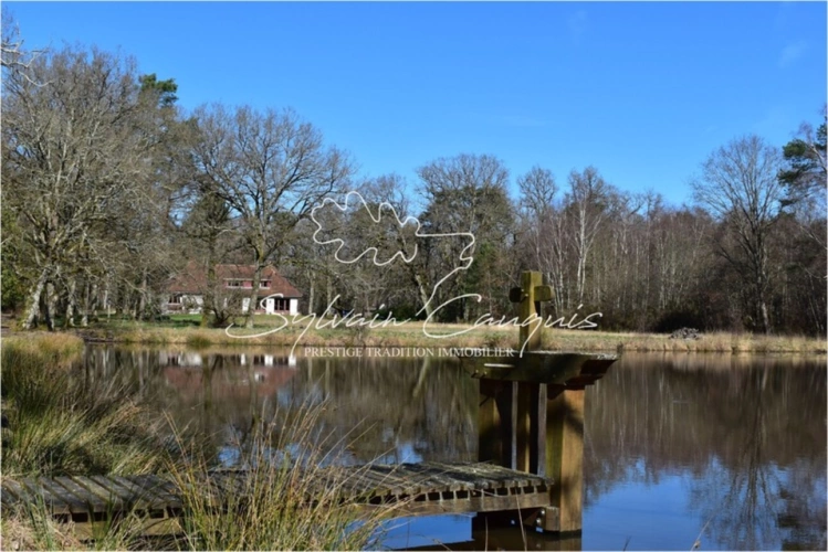 Photos 3 - Forestière - Propriété de Chasse ou d'Agrément de 60 hectares en Sologne