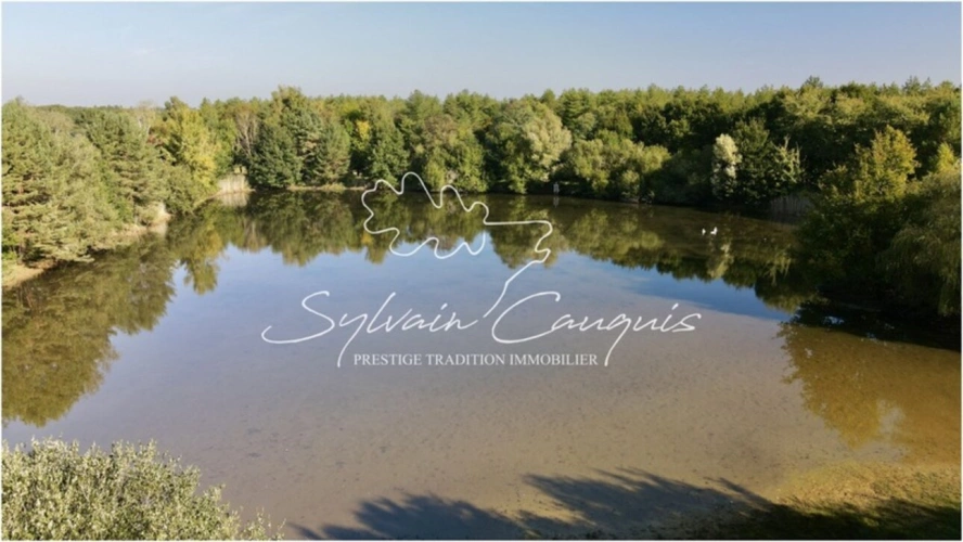 Photos 1 - Forestière - Propriété de Pêche ou d'Agrément de 5 hectares en Forêt d'Orleans