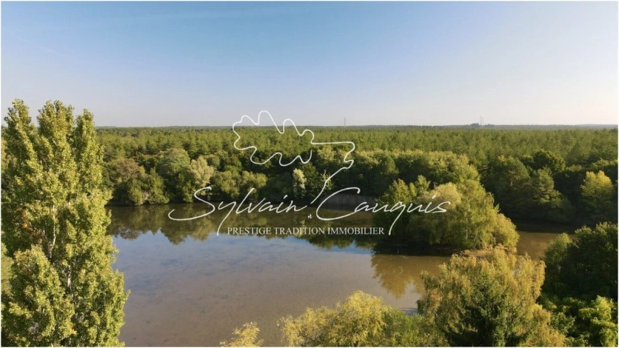 Photos 2 - Forestière - Propriété de Pêche ou d'Agrément de 5 hectares en Forêt d'Orleans