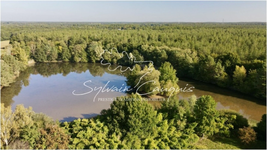 Photos 3 - Forestière - Propriété de Pêche ou d'Agrément de 5 hectares en Forêt d'Orleans