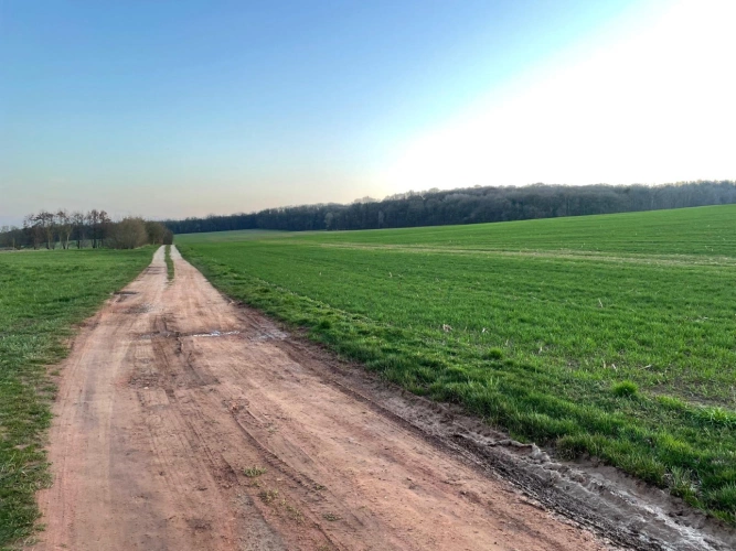 Photos 10 - Forestière - Propriété de chêne de 2,13 ha en Meurthe-et-Moselle