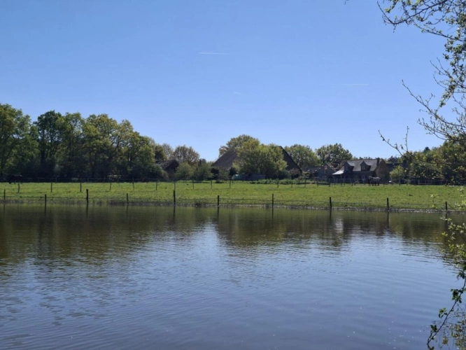 Photos 1 - Équestre - ? Domaine équestre de prestige avec étang privé - 10 hec