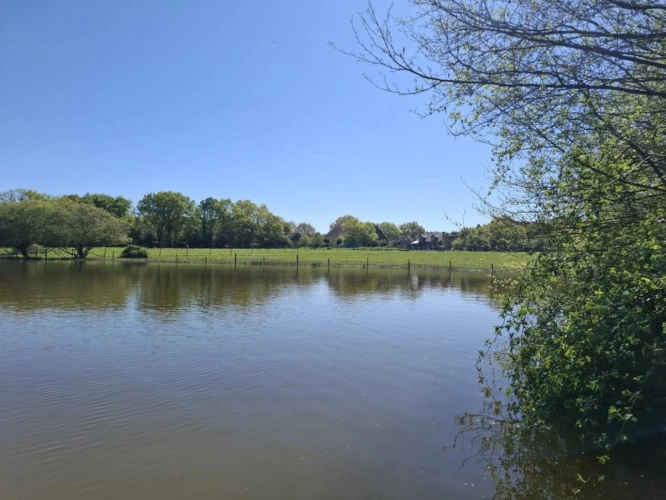 Photos 2 - Équestre - ? Domaine équestre de prestige avec étang privé - 10 hec