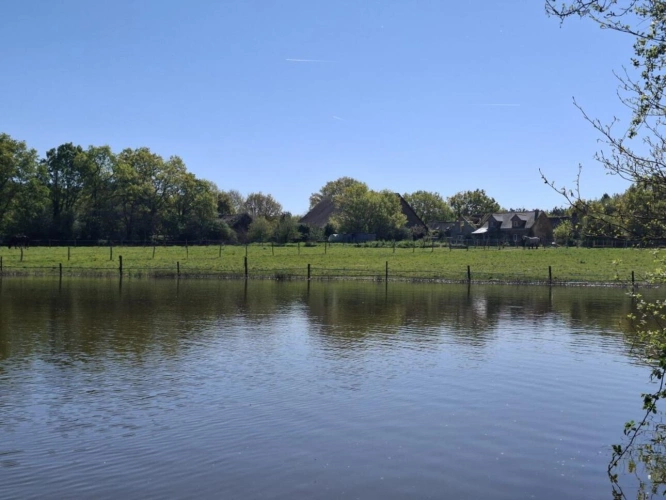 Photos 3 - Équestre - ? Domaine équestre de prestige avec étang privé - 10 hec