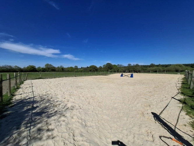 Photos 5 - Équestre - ? Domaine équestre de prestige avec étang privé - 10 hec