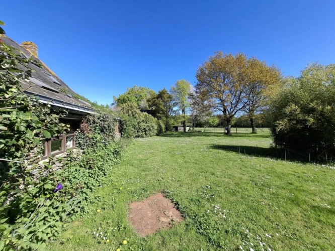 Photos 19 - Équestre - ? Domaine équestre de prestige avec étang privé - 10 hec